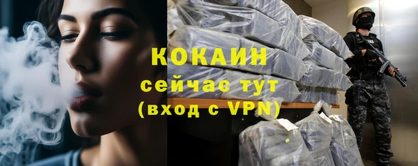 ПСИЛОЦИБИНОВЫЕ ГРИБЫ Новокубанск