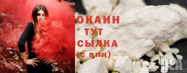 ешки Новозыбков