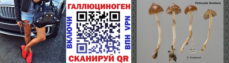 цены наркотик  кракен вход  Галлюциногенные грибы прущие грибы  Амурск 