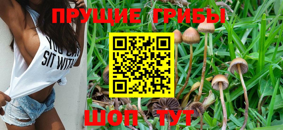 Псилоцибиновые грибы ЛСД  Вход с VPN  Псилоцибиновые грибы Psilocybe  Амурск 