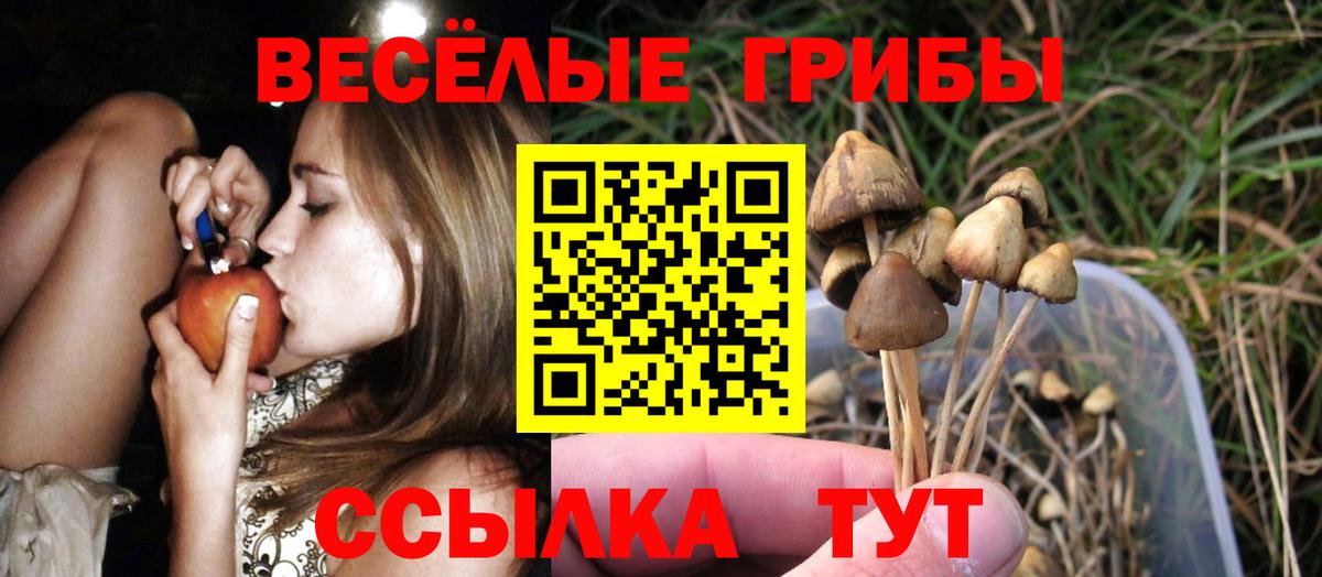 Псилоцибиновые грибы GOLDEN TEACHER Амурск